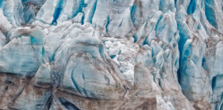 Unexpected Encounter With A Polar Bear Unexpected encounter of a polar bear standing in front of glacier.